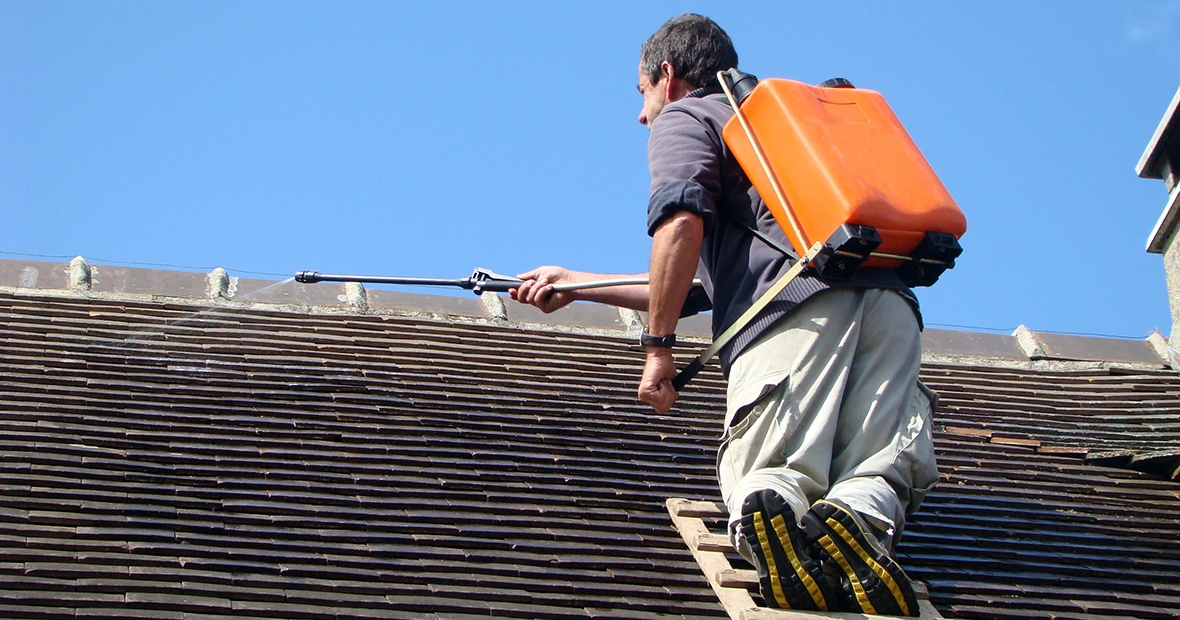 nettoyage et demoussage de toiture
