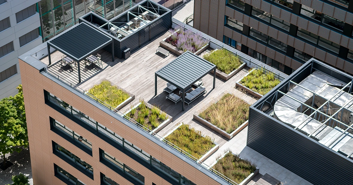 opter pour une toiture vegetalisee